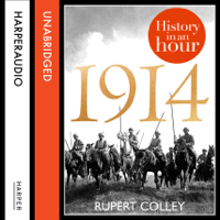 Rupert Colley - 1914: History in an Hour artwork