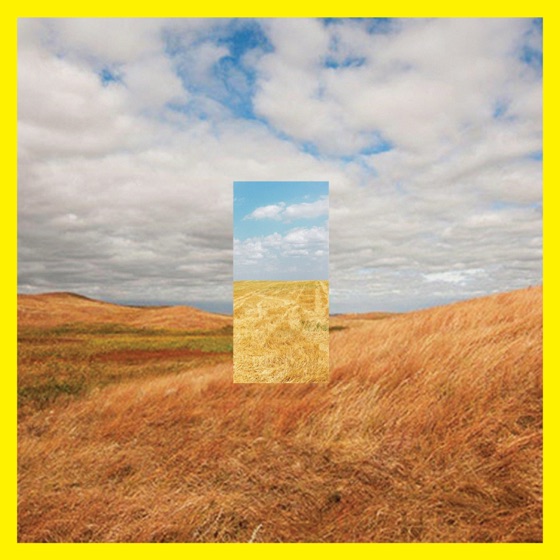 Cover artwork for Standing in the Middle of the Field