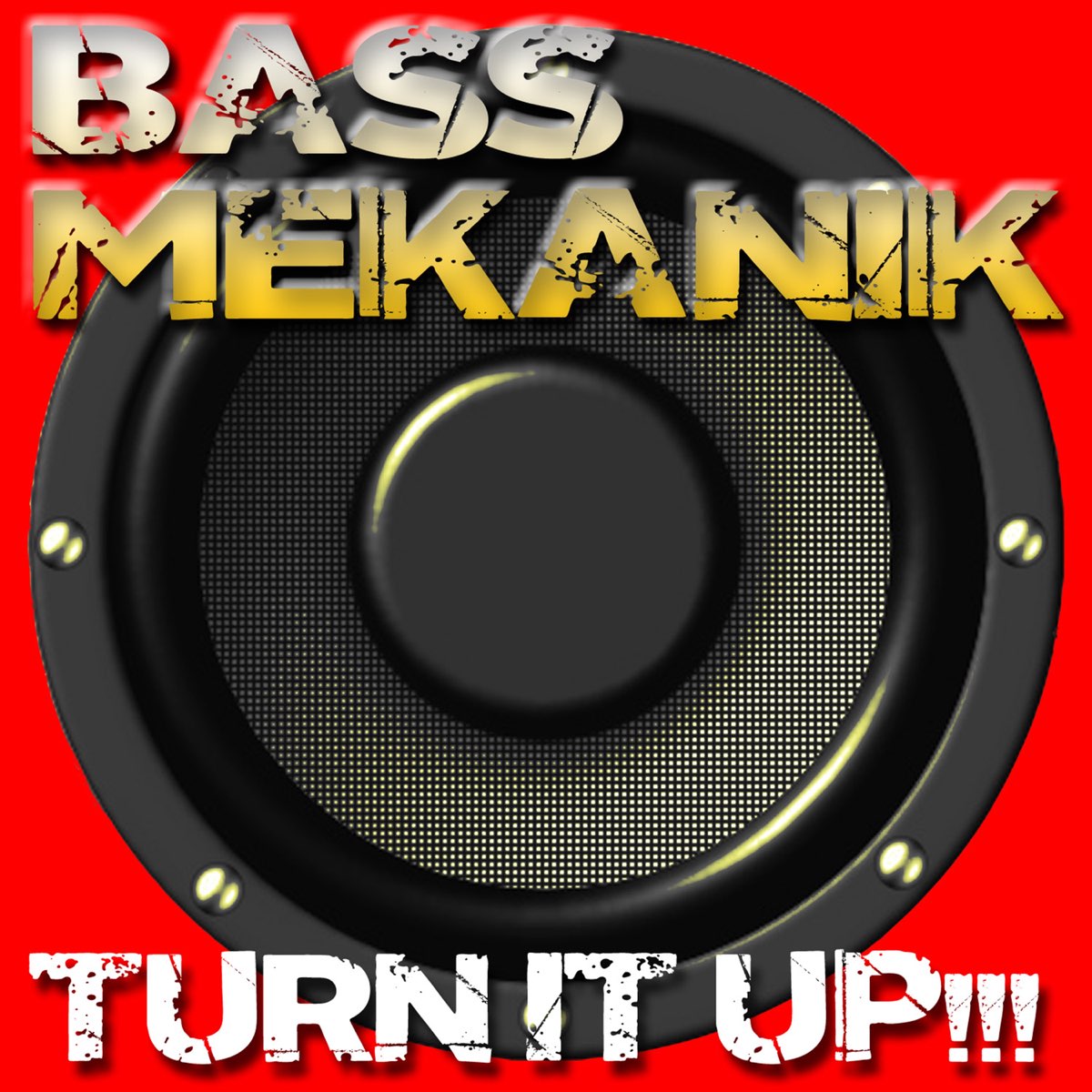 Turn my music. Bass альбом. Bass Mekanik как выглядит. Альбом для Басов. Bass Mekanik 2015 Power.