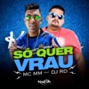 Só Quer Vrau (feat. DJ RD) - Single