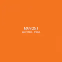 Amo Vitam (Remixe) [Remastered] - EP - Rosenstolz