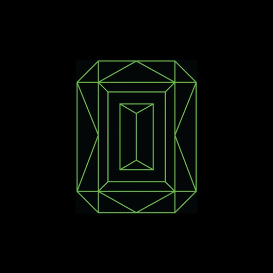 Cover artwork for Vide Noir