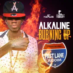 Burning Up - Single - Alkaline