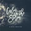 Calm in the Storm (feat. Annika Blomfeldt) - Single