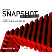 Snapshot (Avision Remix) artwork