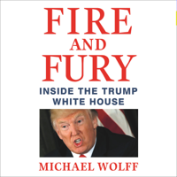 Michael Wolff - Fire and Fury artwork