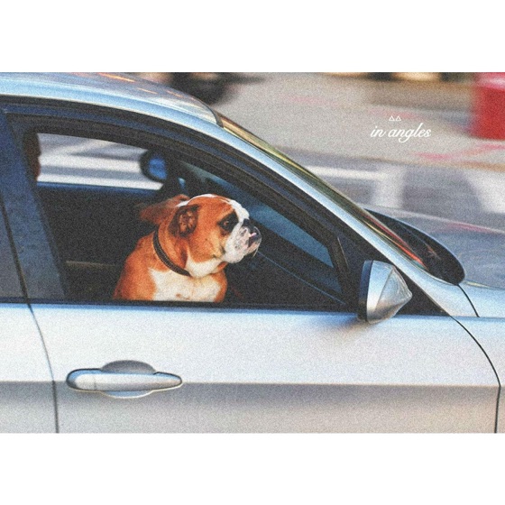 Cover artwork for Passenger