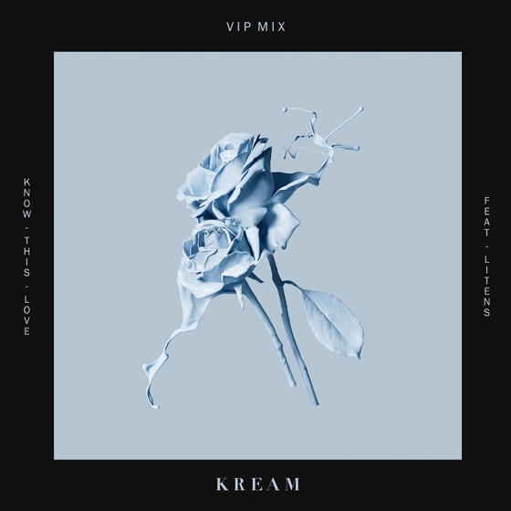 Cover artwork for Know This Love (feat. Litens) [VIP Mix]
