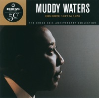 Muddy Waters Ablum Cover