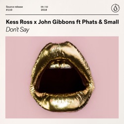 Kess Ross & John Gibbons - Don't Say (feat. Phats & Small)