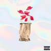 Brown Paper Bag (Maxi) - EP artwork