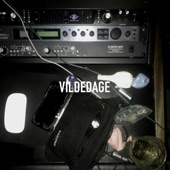 Vildedage artwork