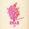 Eels - The Deconstruction  artwork