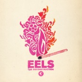 Eels - Today Is the Day