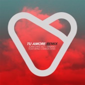 Joan Sanchez & RP Band - Tu Amore (Remix) [feat. Charlie Dens] feat. Charlie Dens