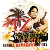 Israel Kamakawiwo'ole - Over the Rainbow / What A Wonderful World