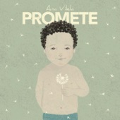 Promete artwork