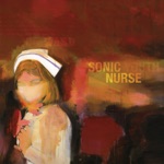 Sonic Youth - Dude Ranch Nurse