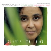 Os Rios Da Tribo (feat. Carmen Souza) artwork