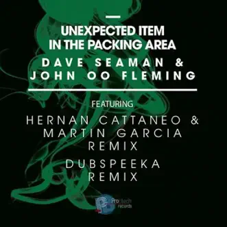 Unexpected Item in the Packing Area - EP by Dave Seaman & John 'OO' Fleming album reviews, ratings, credits