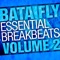 Bfs 2 Essential Bb 11 - Bata Fly lyrics