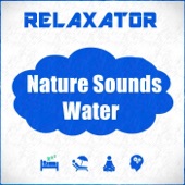 Nature Sounds Water artwork