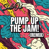 Pump up the Jam! (Remix) artwork