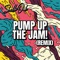 Pump up the Jam! (Remix) artwork