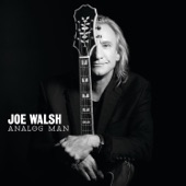 Joe Walsh - Lucky That Way
