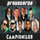 Provocarea Campionilor artwork