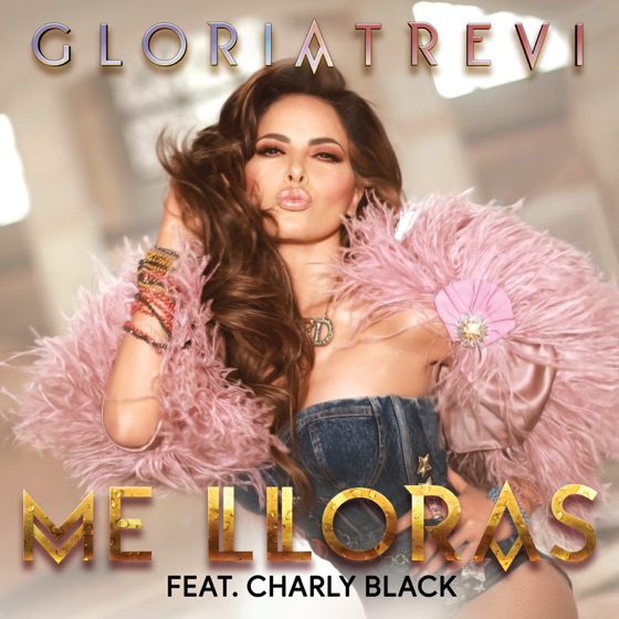 Cover artwork for Me Lloras (feat. Charly Black)