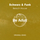 Beach House (Mixes) artwork
