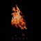 Cursive - Elegy lyrics