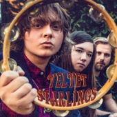 Velvet Starlings - Sold Down the River