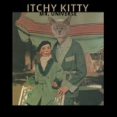 Itchy Kitty - Hairballs Regurgitated