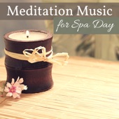 Meditation Music for Spa Day - Quiet Contemplation Songs to Improve Life Quality artwork