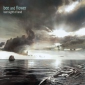 Bee And Flower - Don't Say Don't Worry