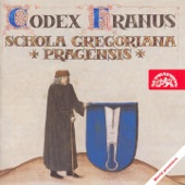 Codex Franus artwork