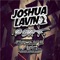 Perf - Joshua Lavin lyrics