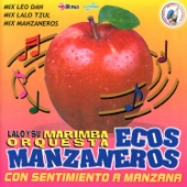 Con Sentimiento a Manzana. Música de Guatemala para los Latinos artwork