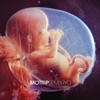 Embryo, 2012