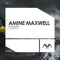 Empathy - Amine Maxwell lyrics