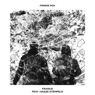 Fragile (feat. Hailee Steinfeld) by Prince Fox song reviws