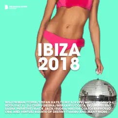 Ibiza 2018 by Various Artists album reviews, ratings, credits