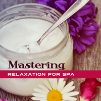 Meditation Spa Music Ensemble - Mastering Relaxation for Spa: After Long Day Slow Calming Music, Stress Relief, Sauna, Massage, Facial, Instrumental artwork