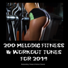 200 Melodic Workout & Fitness Tunes for 2019 - Various Artists
