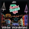 WDW Studio Orchestra and Singers - Winter Wonderland (From "Osborne Family Spectacle of Dancing Lights")