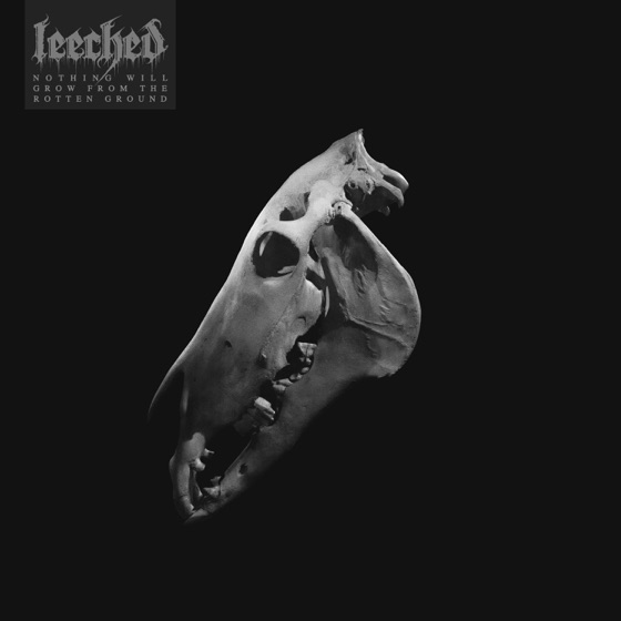 Cover artwork for Marrow