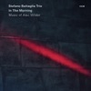 Stefano Battaglia Trio - In the Morning