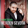 Nerden Sevdim - Single